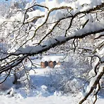 Iglucamping Allgaeu-bodensee