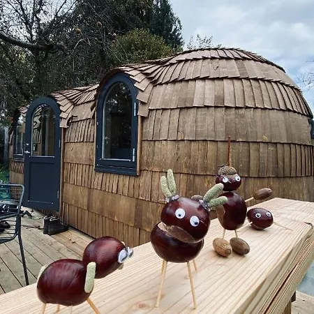 Iglucamping Allgaeu-bodensee مكان تخييم