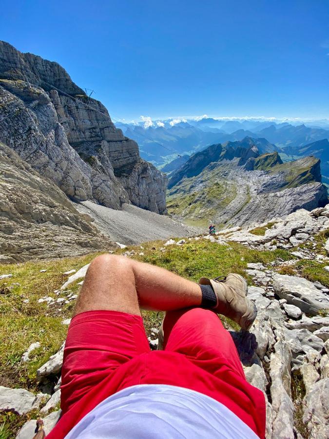leichteste hängematte Coghlans Robuste Leichte Fallschirm Reise Hängematten Doppel